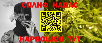 стаф Кимры