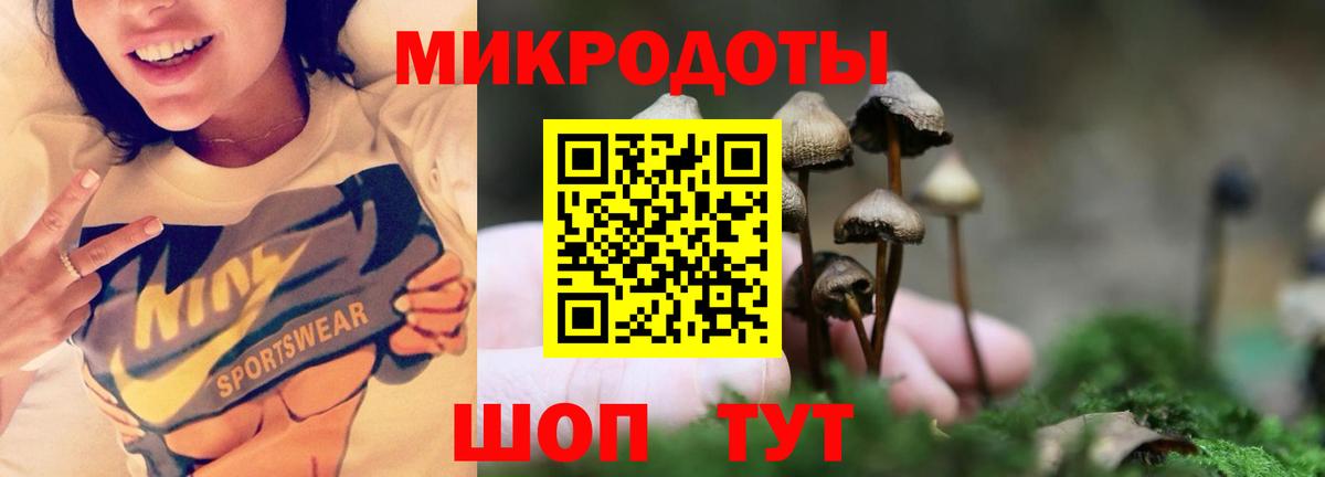 Псилоцибиновые грибы ЛСД  Вход с VPN  Корсаков  Псилоцибиновые грибы прущие грибы 